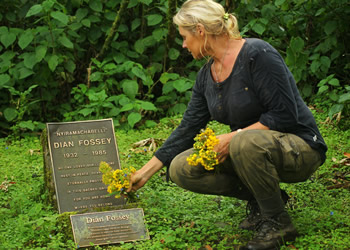4 days Rwanda Gorilla Safari – Visit Dian Fossey Graveyard