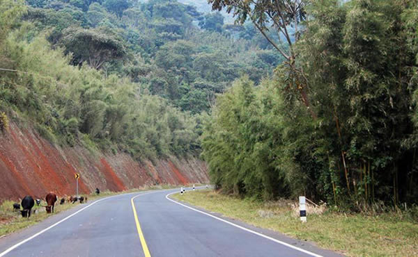 The Best Ways Of Getting To Bwindi National Park