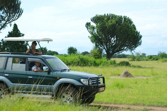 Top 5 Rental Cars for Self-drive Road Trip in Uganda