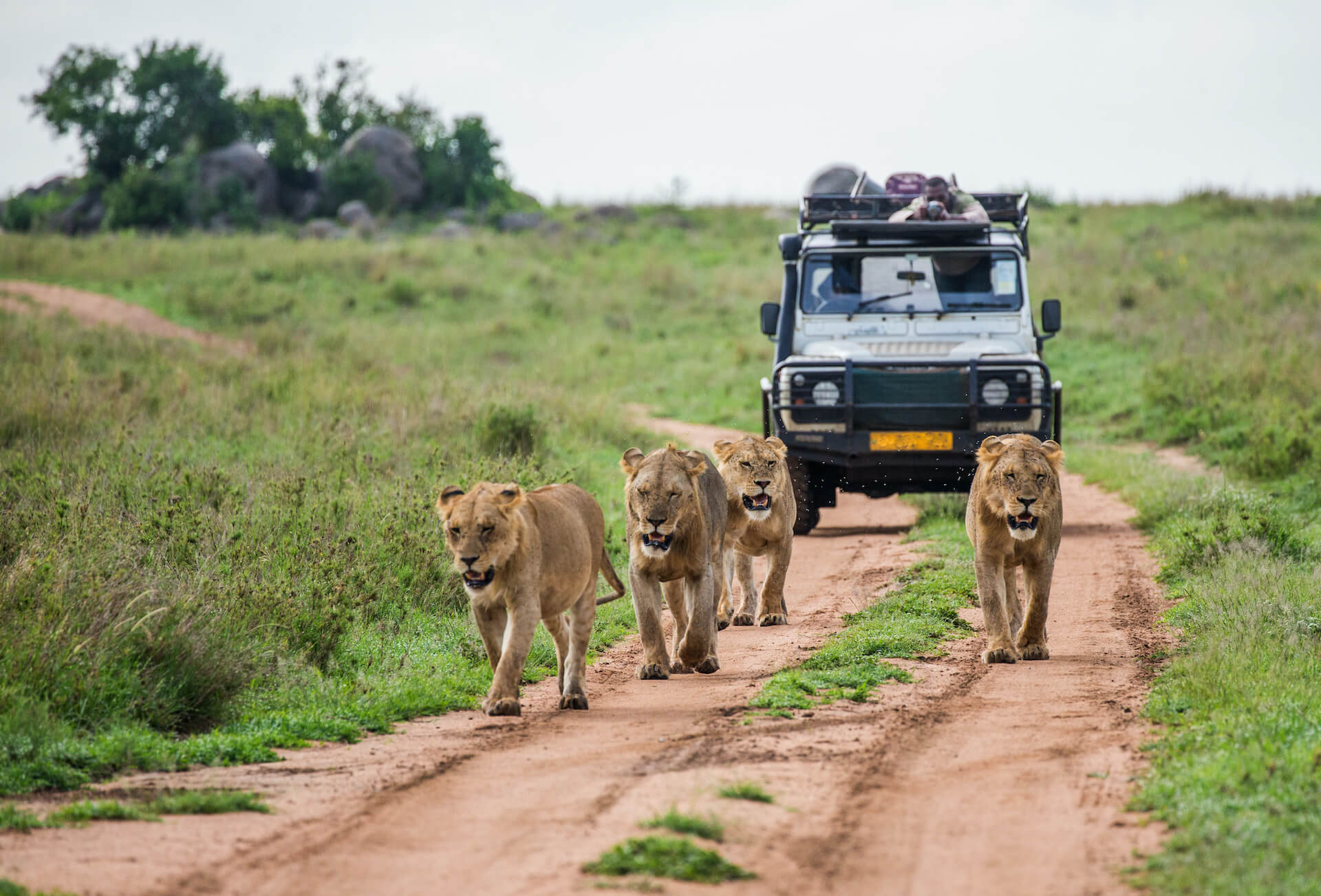 The Best 4×4 Cars Ideal For Uganda Self Drive Adventures