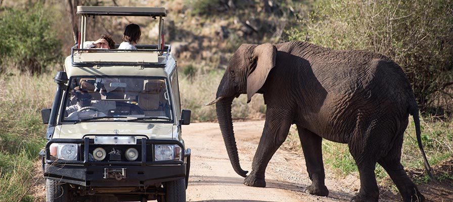 Top 5 Activities You Shouldn’t Miss Out On Safari In Uganda