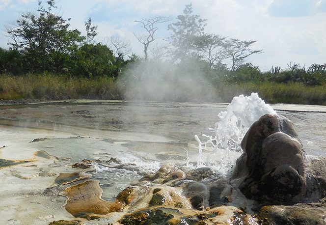 Wildlife & Hotsprings